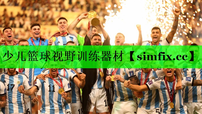 少儿篮球视野训练器材