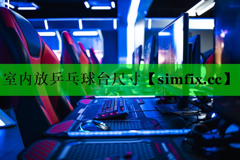 室内放乒乓球台尺寸