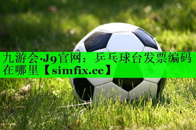 乒乓球台发票编码在哪里